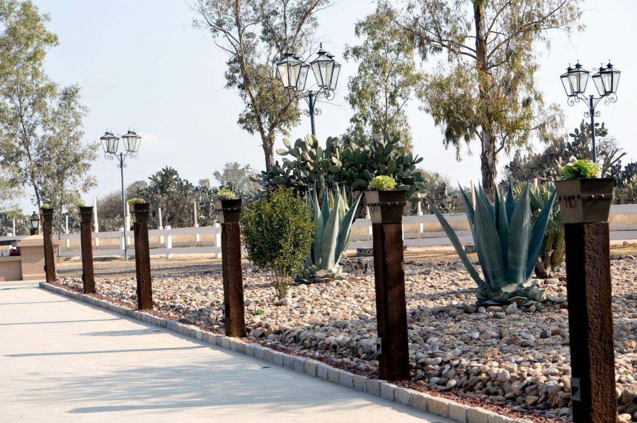 Hacienda Los Picachos Alcocer Exteriör bild